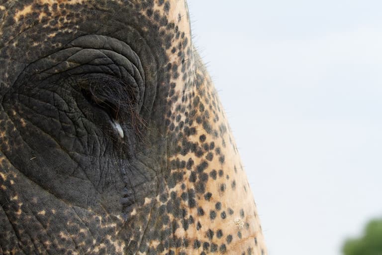 Veterinarian Nic holding veterinary books